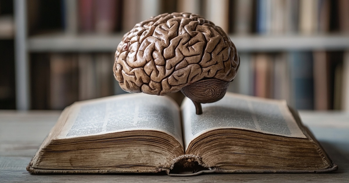 Más rápido, preciso y adaptable: cómo la lectura modifica el cerebro, según la ciencia
