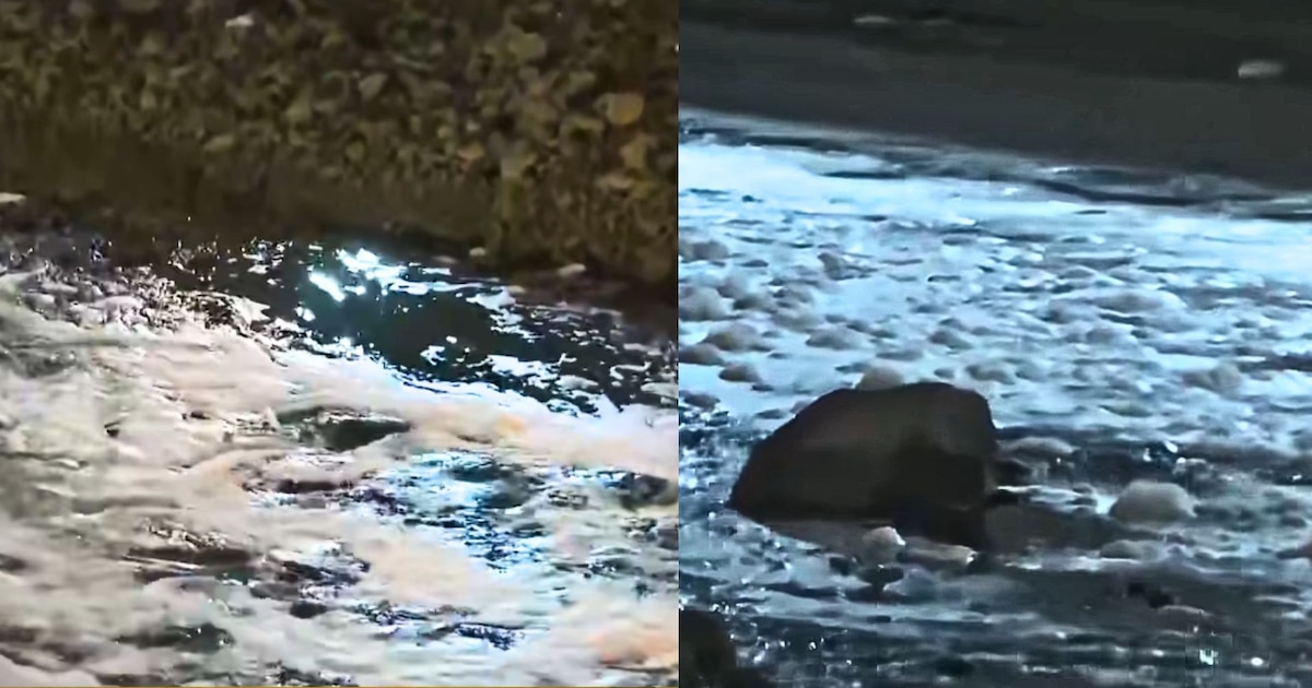 Alerta en el río Rímac por presencia de espuma blanca cerca a la zona de captación de Sedapal