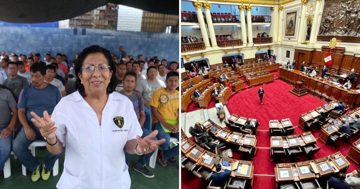 Congreso quiere obligar nuevamente a que empresas con más de 100 trabajadores tengan un trabajador social