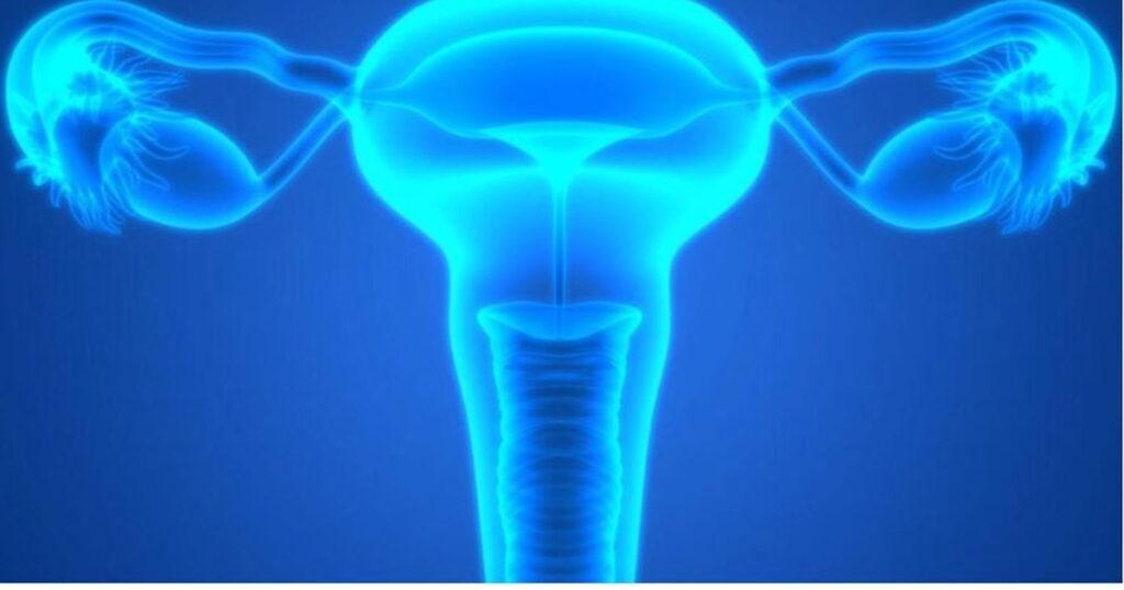 Un hallazgo clave identificó señales tempranas del cáncer de ovario en las trompas de Falopio