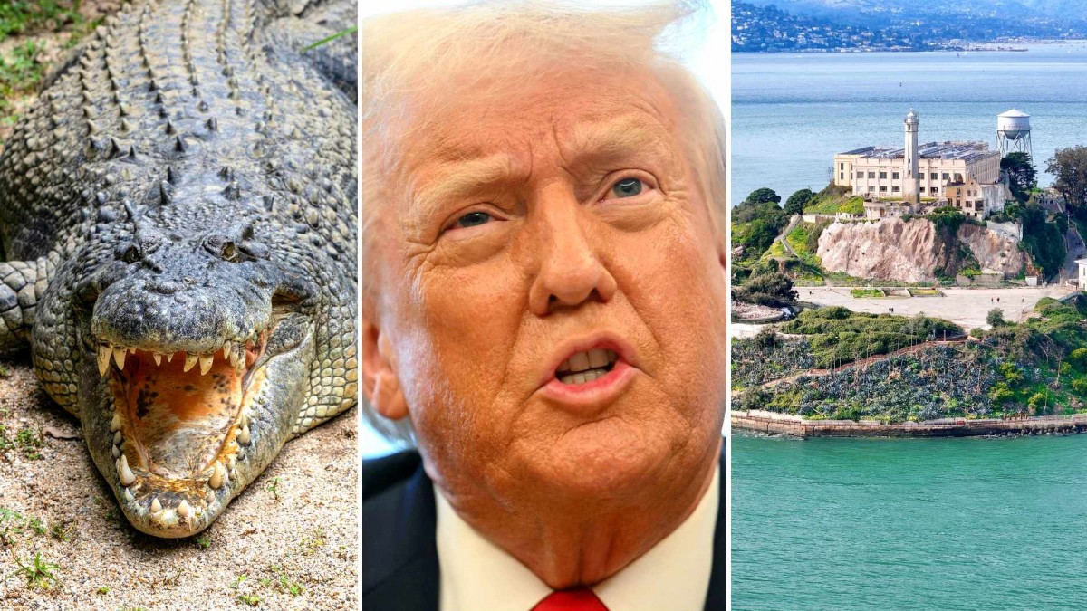 En un pantano rodeada de cocodrilos y pitones: Así será la nueva cárcel de Trump estilo «Alcatraz» para recluir a migrantes