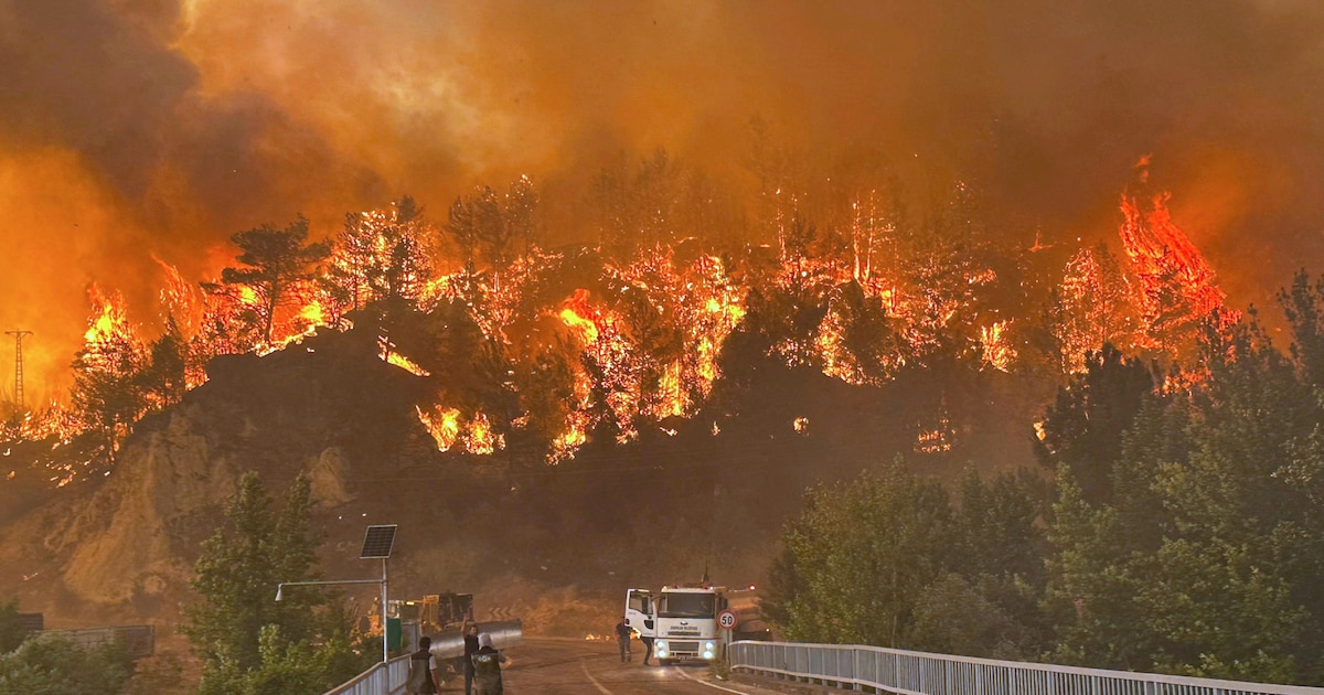 Incendios masivos azotan Turquía, Grecia y Bulgaria en ola de calor