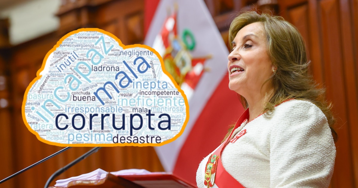 Peruanos califican a Boluarte como “incapaz” y “desastre” en encuesta