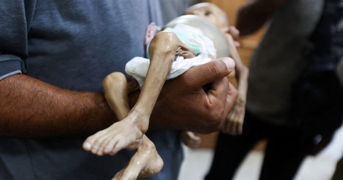 Alerta global por crisis alimentaria sin precedentes en Gaza