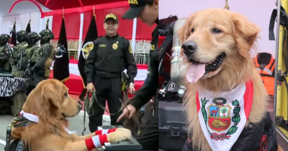 Policía Canina exhibe habilidades en piano, scooter y saltos durante la Parada Militar 2025