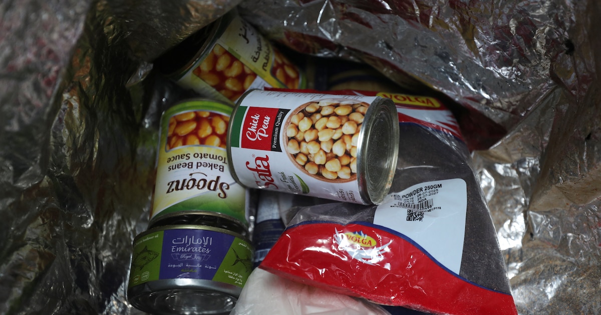 Jordanía realiza lanzamientos aéreos de ayuda humanitaria en Gaza ante el avance del hambre y la desesperación