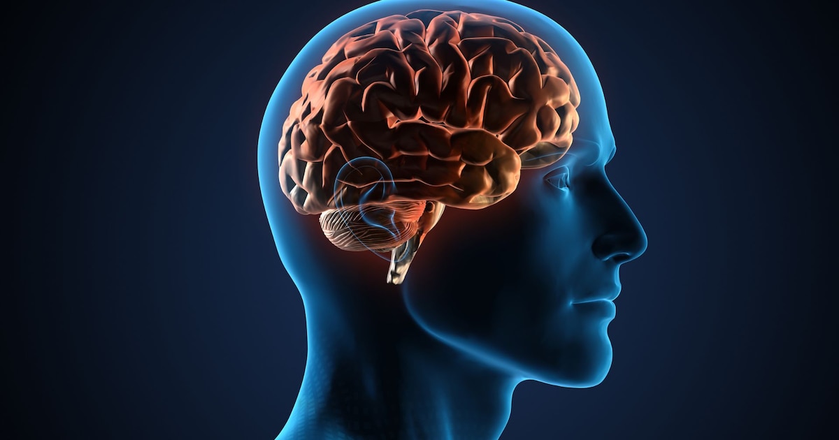 Tiroteo en Nueva York: atacante de 27 años con encefalopatía traumática crónica deja nota pidiendo estudio cerebral tras matar a cuatro personas
