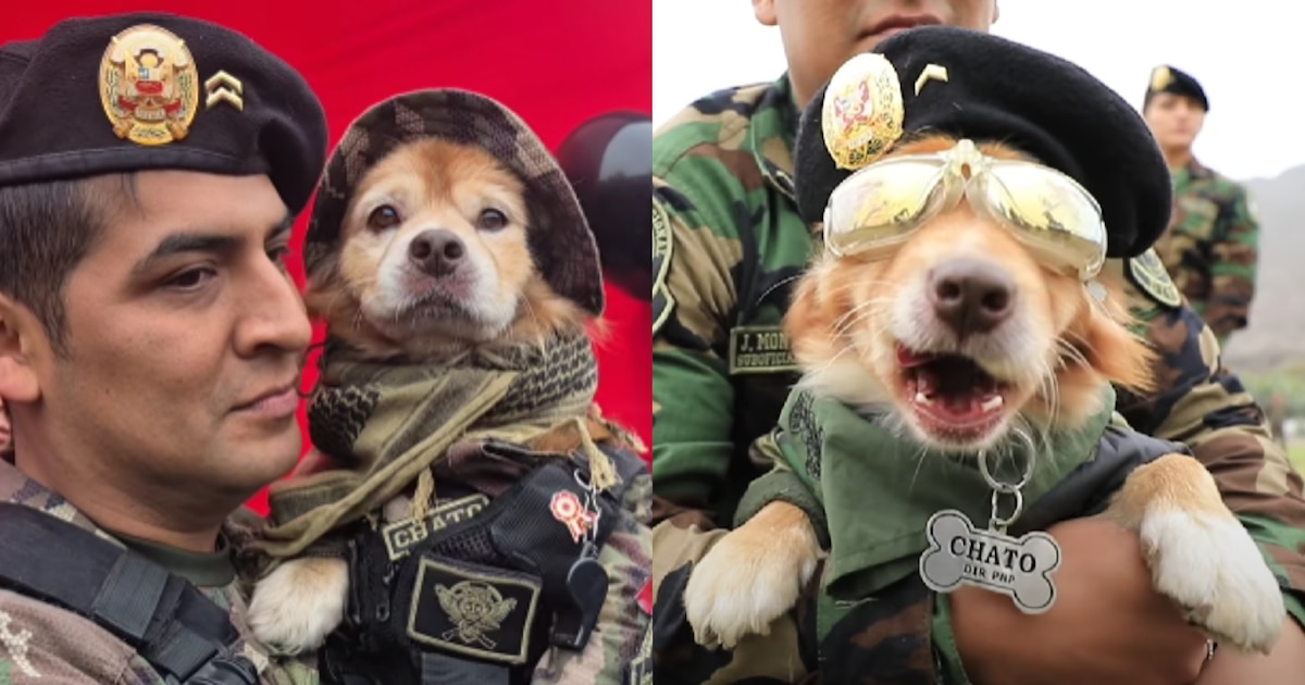 Perro paracaidista de la DINOES, ‘Chato’, cierra su ciclo en las Fiestas Patrias 2025 durante el tradicional Desfile Militar