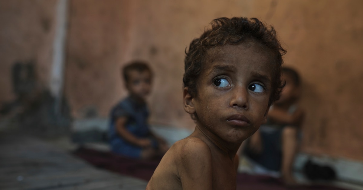 Crisis humanitaria en Gaza: hambruna amenaza con borrar generaciones, advierten trabajadores humanitarios