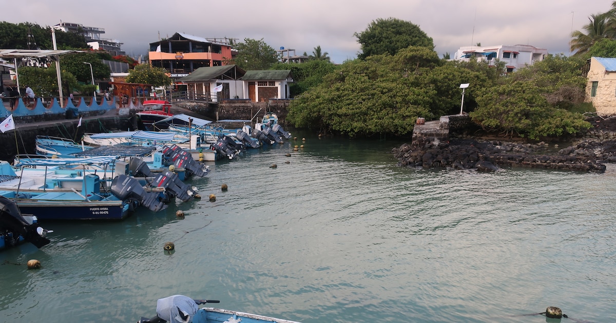 Ecuador en alerta por posible tsunami tras sismo de magnitud 8.8 en Rusia; evacúan playas en Galápagos