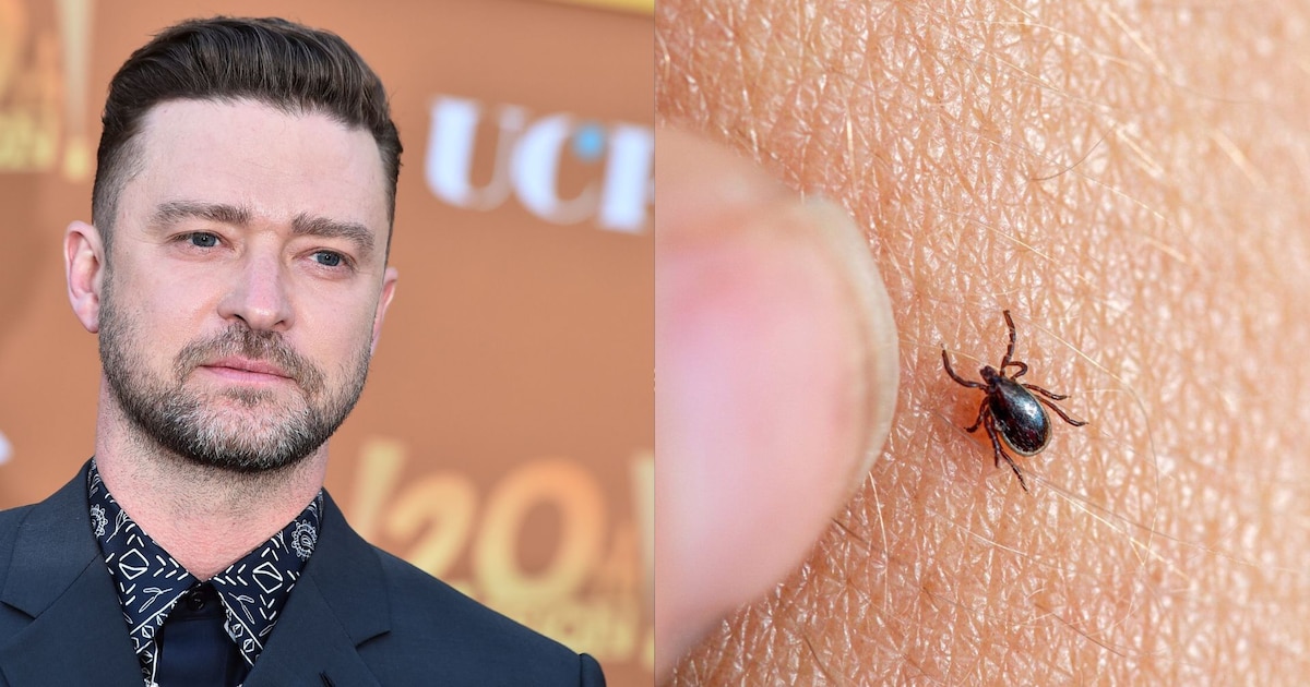Justin Timberlake revela que sufre enfermedad de Lyme durante gira: preocupación y sorpresa ante diagnóstico