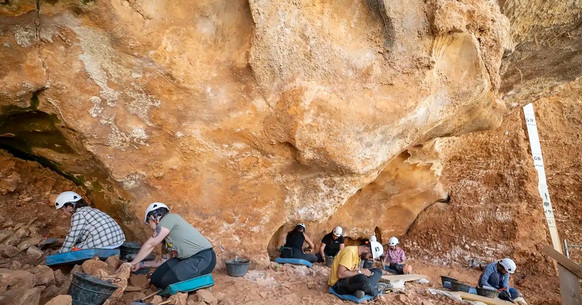 Descubren en Atapuerca vértebra infantil con marcas de corte que reavivan el debate sobre canibalismo en la prehistoria europea