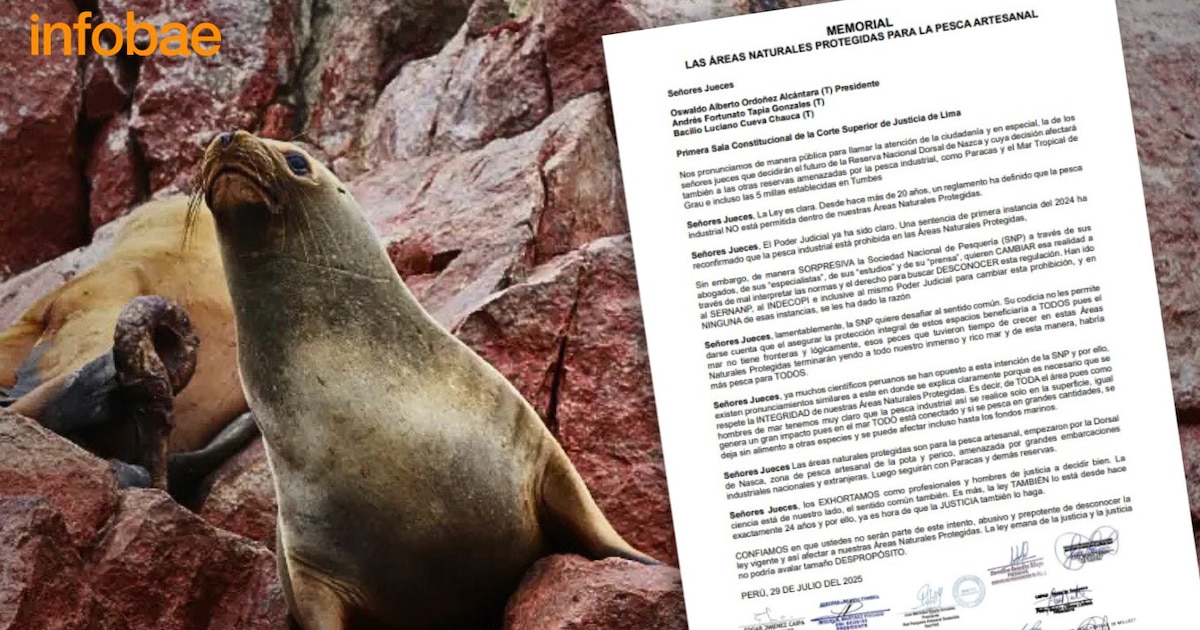 Científicos y pescadores unen fuerzas para frenar la pesca industrial en Áreas Protegidas; tribunales deciden el futuro