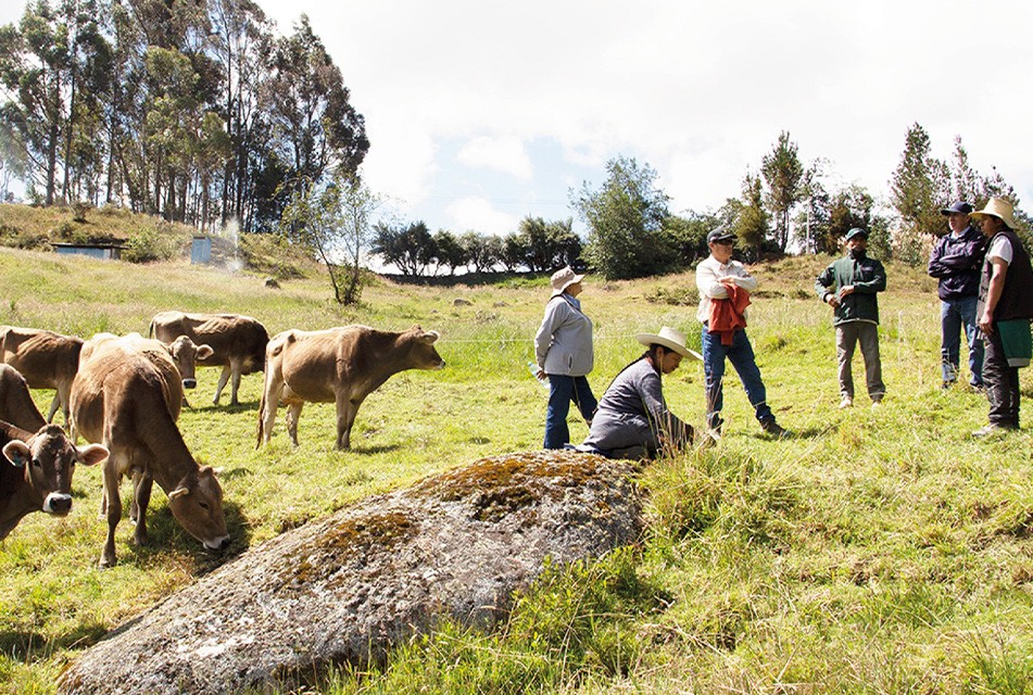 Ascalpe pide ampliar y sistematizar programa “Ganaderos de Altura” a nivel nacional