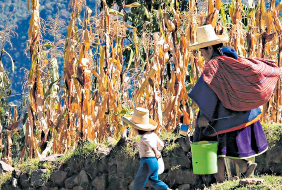 Cajamarca muestra deterioro en indicadores clave del INCORE 2025, alerta IPE