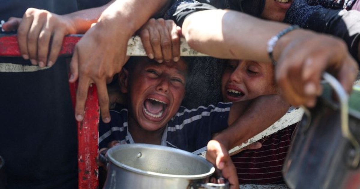 ONU alerta: medio millón en Gaza enfrentan hambruna y desesperación extrema