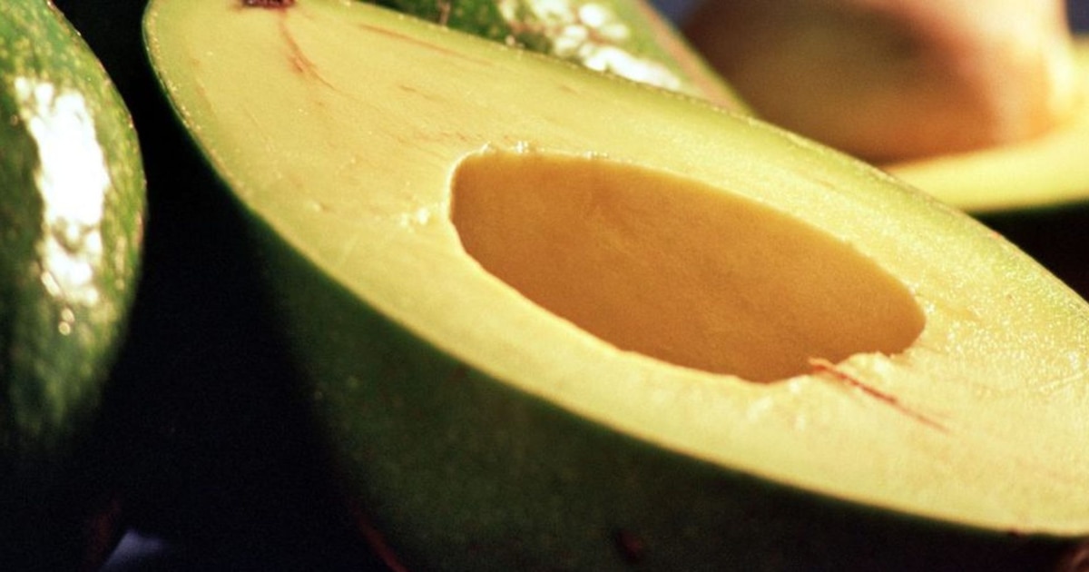 Perú rompe récord con 433,000 toneladas de palta en primer semestre