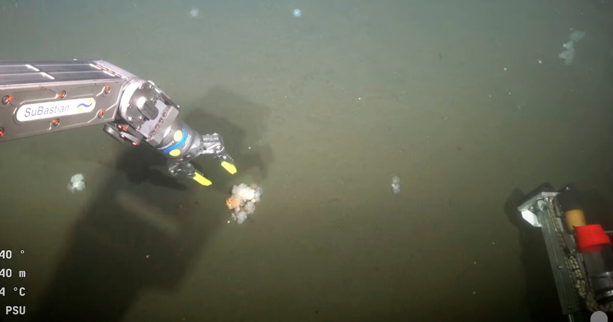 Uruguay inicia su histórica expedición submarina con primera inmersión en fondos marinos y nuevas imágenes en alta definición