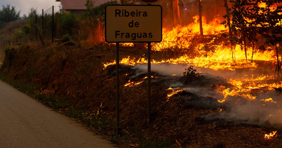 Incendios forestales en Portugal dejan cuatro muertos y cobran la vida de un bombero en el noreste