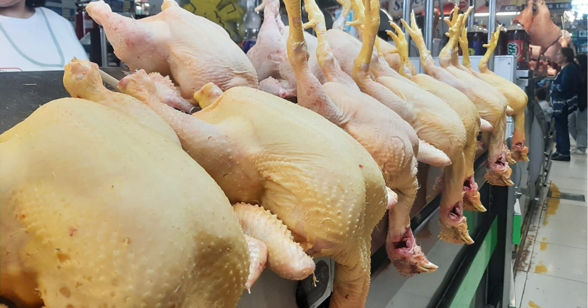 Perú realiza su primera exportación de carne de ave tras recuperar estatus sanitario internacional