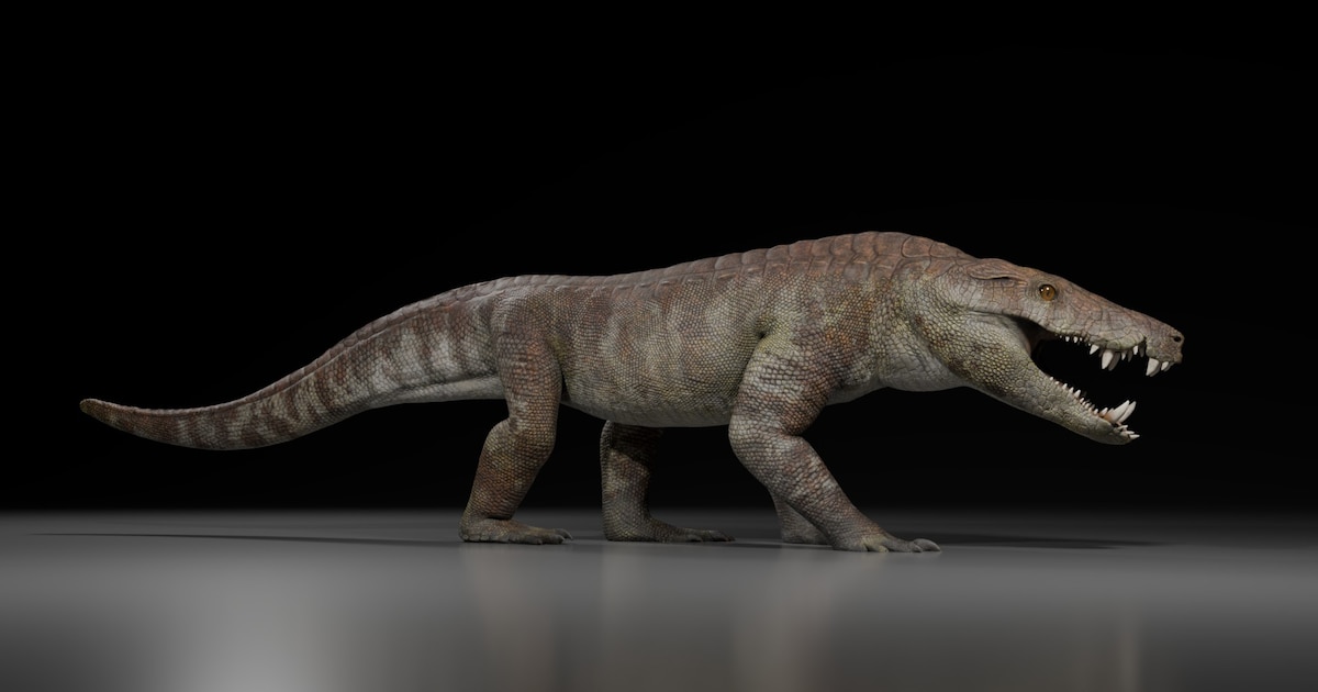 ¡Descubren en la Patagonia al nuevo gigante prehistórico: ¡el depredador de 4 metros que asombró a la ciencia argentina y desafía la historia de los dinosaurios!