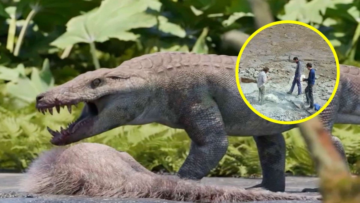 ¡Impactante hallazgo en la Patagonia! Descubren un ‘cocodrilo gigante’ prehistórico que fue un voraz depredador de América