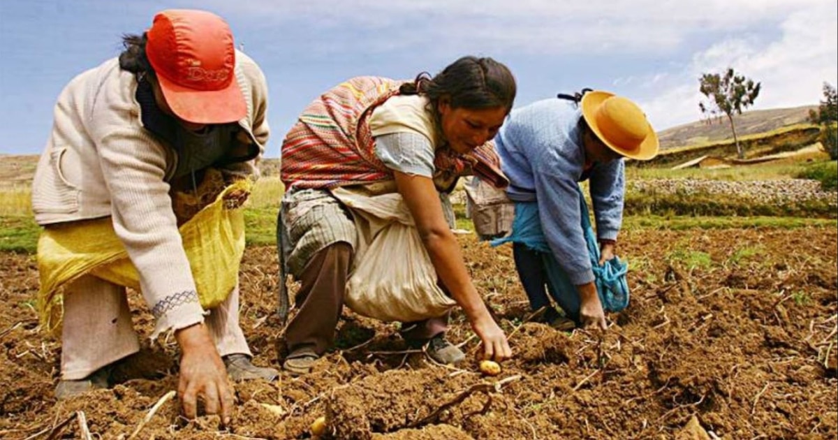 Minería y agricultura, clave para el desarrollo estratégico regional