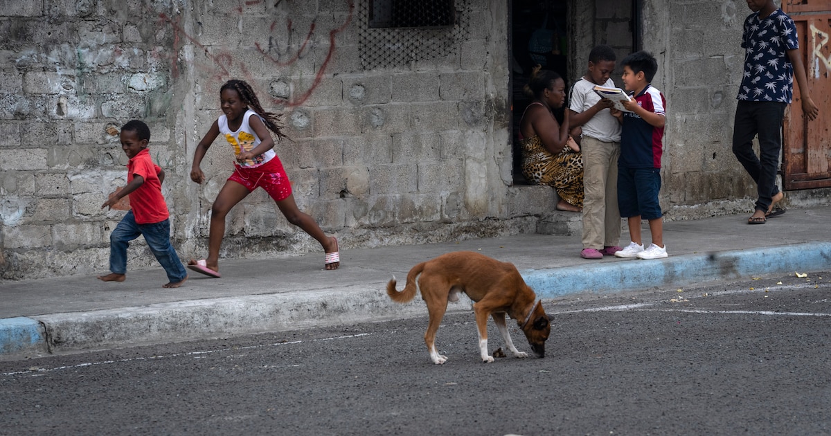 ¡Crisis de violencia en Ecuador: 294 menores asesinados en seis meses y las calles de Guayaquil en caos con partes humanas abandonadas!