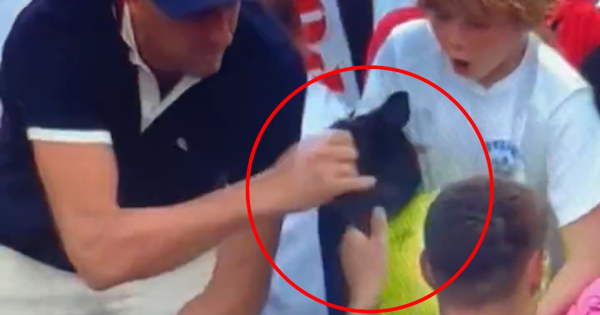 ¡Impactante! Tenista regala gorra a niño, espectador la roba y se vuelve viral en el US Open