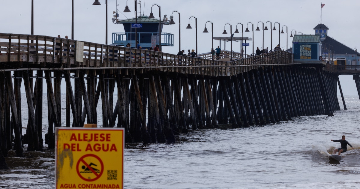 ¡Alarmante! Miles de estadounidenses en riesgo de enfermarnos por bacterias fecales en playas justo en el Día del Trabajo