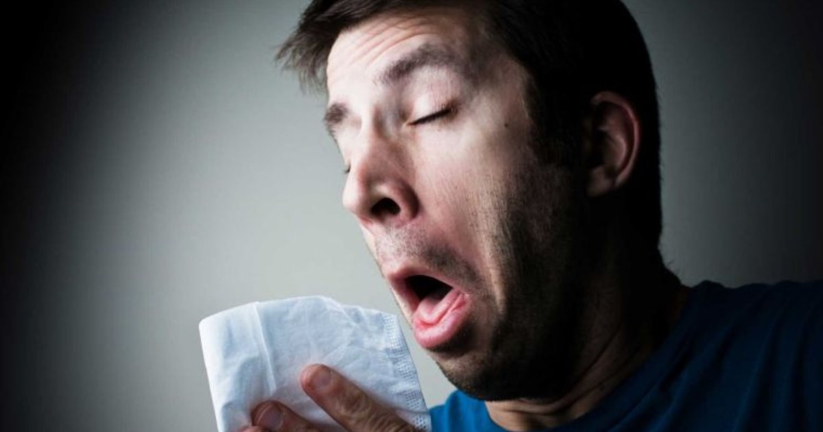 Cómo enfrentar las alergias de invierno: soluciones para estornudos, picazón y congestión nasal