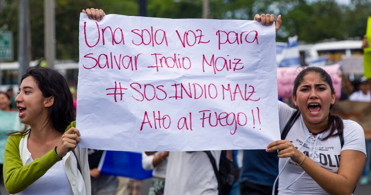 Gobierno de Ortega otorga concesiones mineras a China en reserva biológica Indio Maíz, poniendo en riesgo zonas protegidas