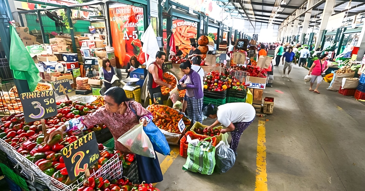 Lima: Más de 9.000 toneladas de frutas y verduras llegan a los mercados mayoristas; conoce los precios actuales