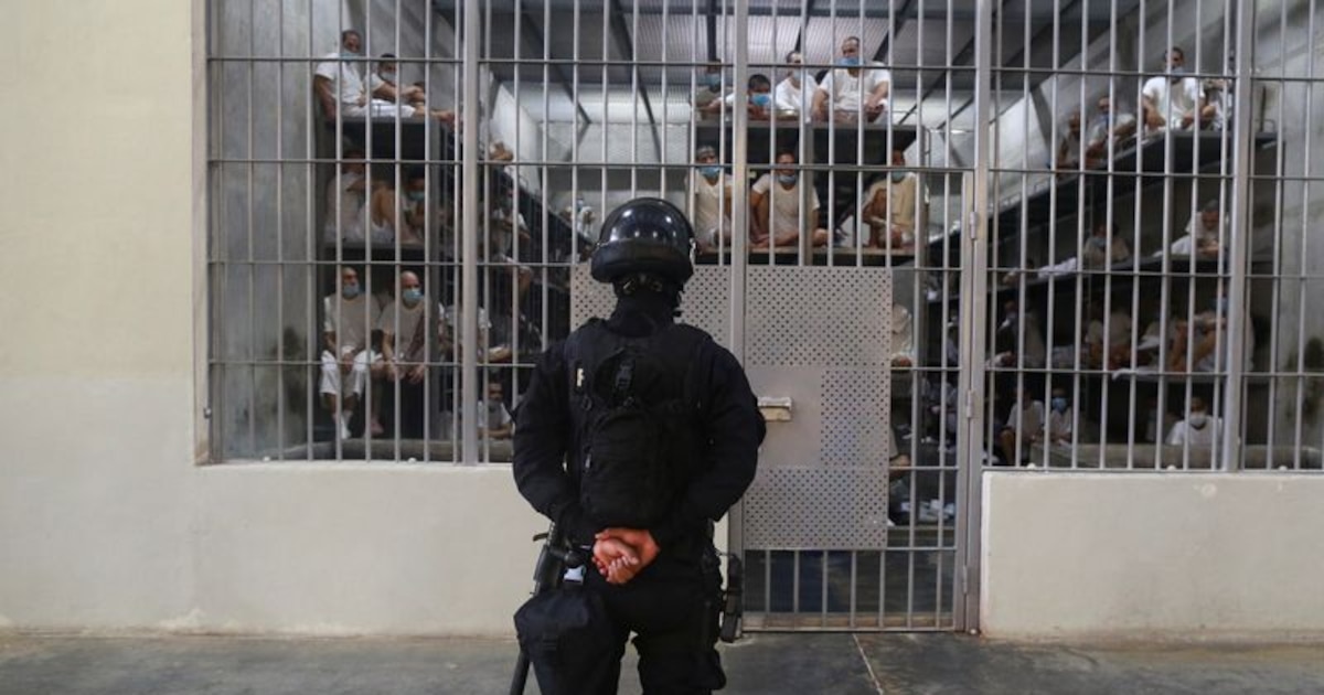 Denuncian torturas y abusos en el Centro de Confinamiento del Terrorismo en El Salvador: Golpes, agresiones sexuales y condiciones inhumanas de los venezolanos deportados desde EE. UU