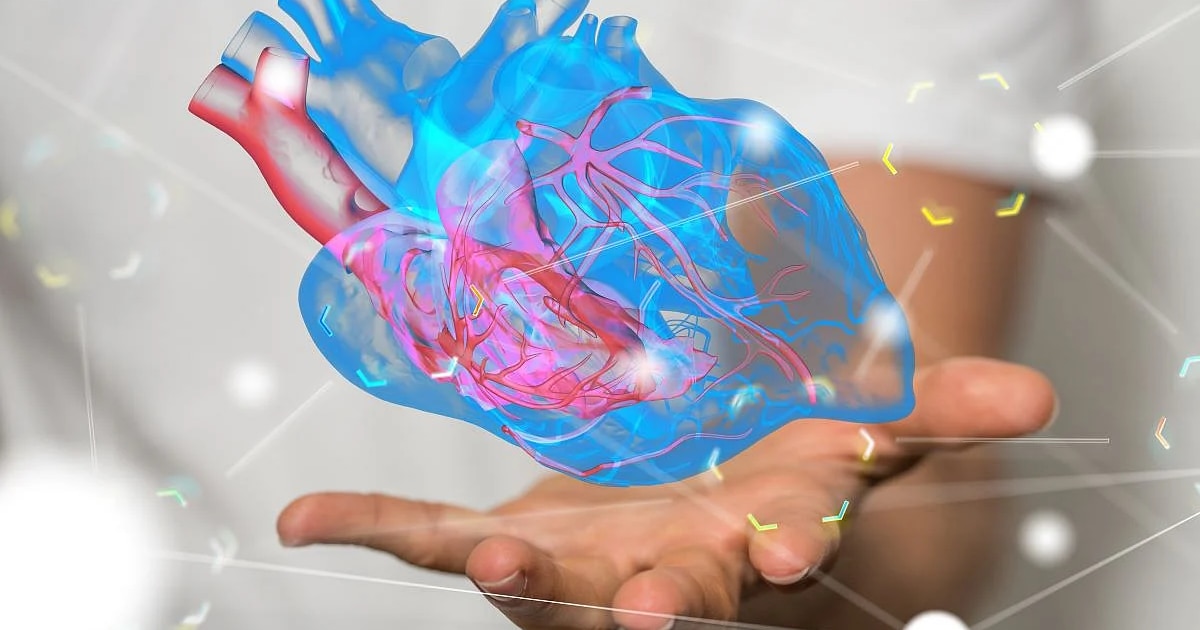 Descubre tu salud cardíaca: Nueva calculadora revela que muchos estadounidenses tienen corazones fisiológicamente más envejecidos que su edad real
