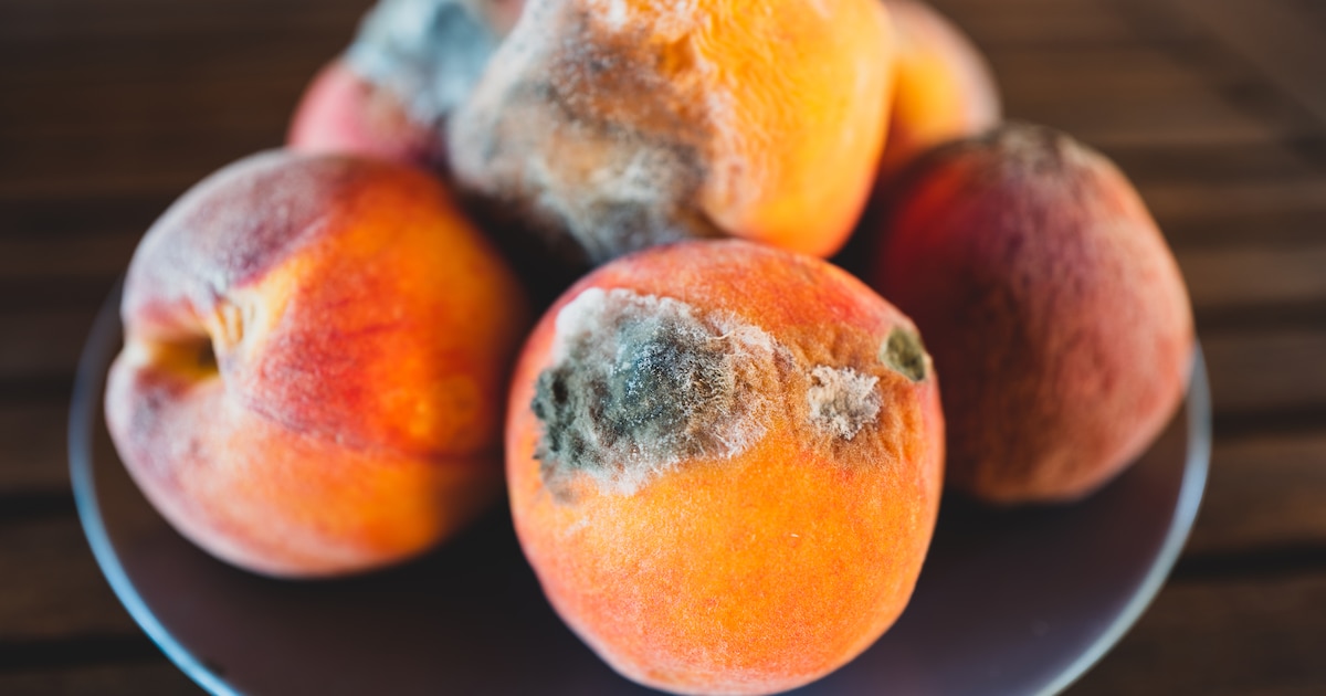 Cuidado con el moho en frutas blandas: eliminar solo la parte visible no garantiza que sean seguras para el consumo