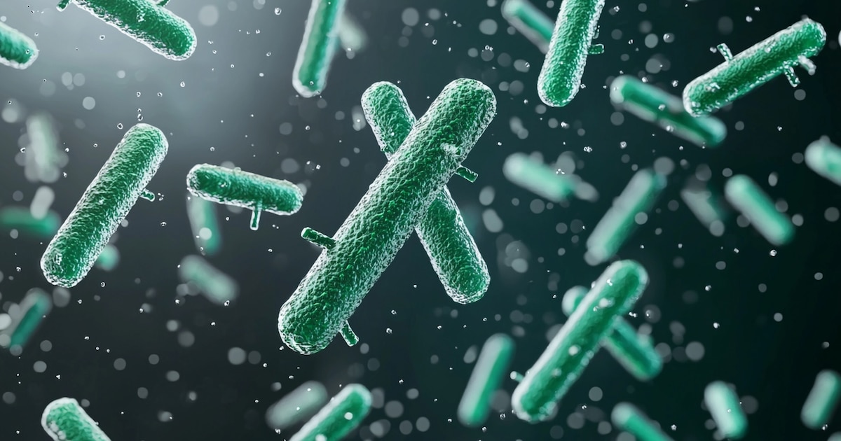 Alarma en la Costa del Golfo: aumento récord de casos de Vibrio vulnificus en 2025 con 17 contagios y cuatro muertes