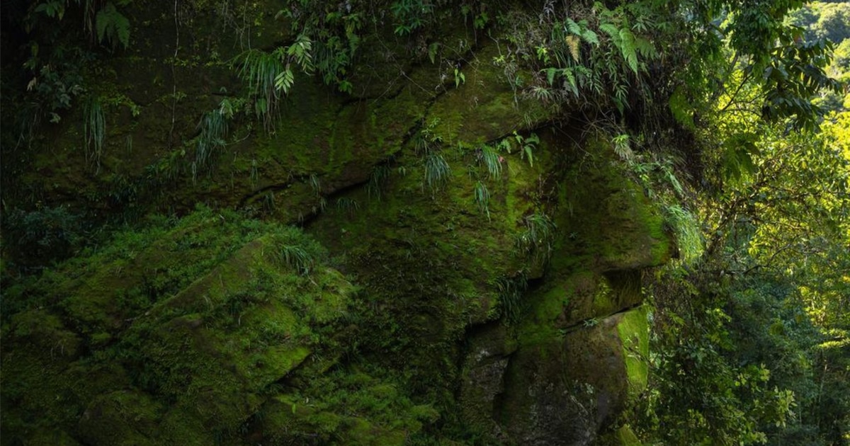 Riesgo para el patrimonio cultural: minería y narcotráfico amenazan la conservación del Rostro Harakbut, actualmente protegido mediante un gemelo digital