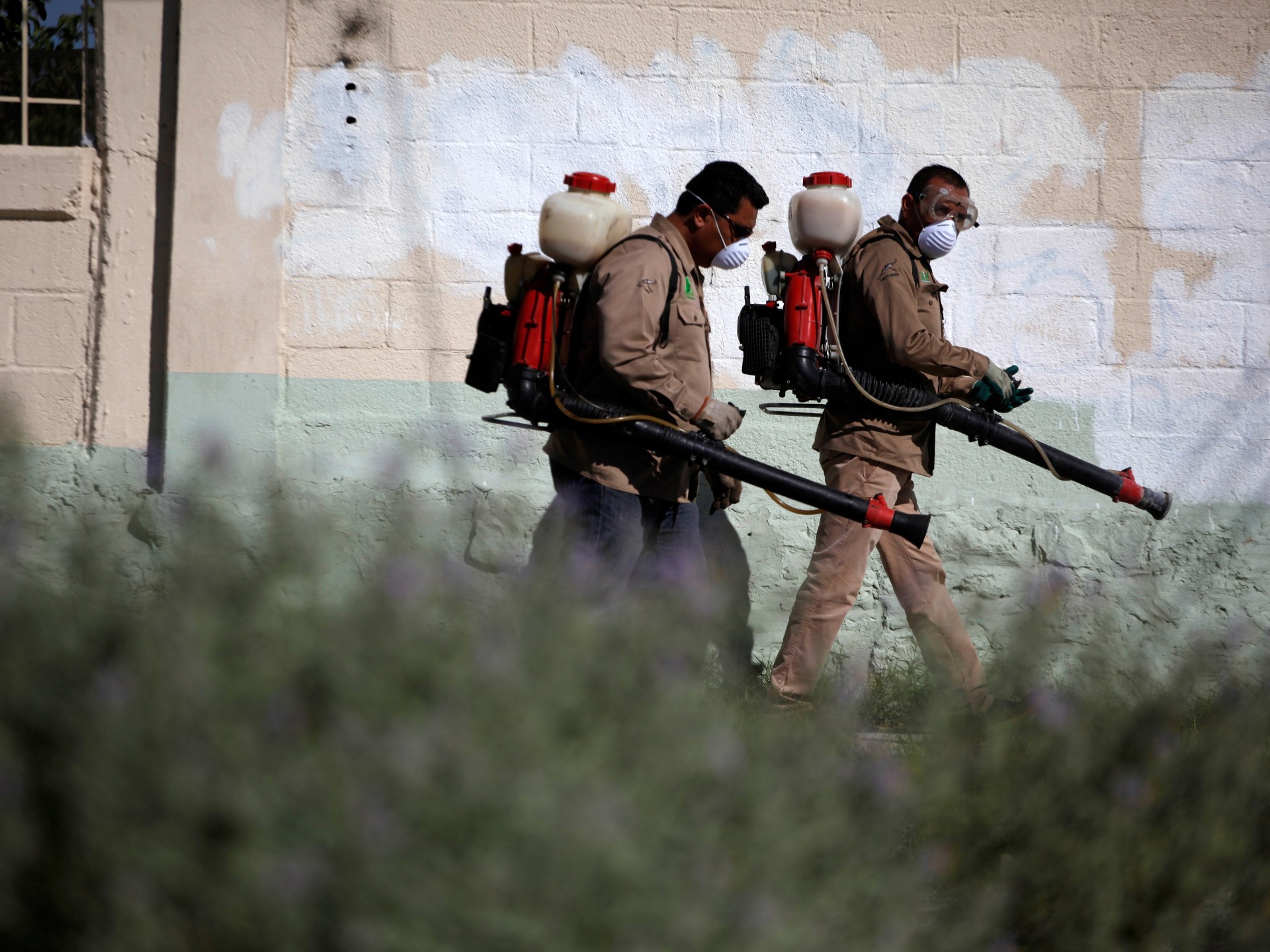 Alerta global: virus del chikungunya en auge en Asia, África y Europa, con más de 240,000 casos en 2025 y brote récord en China