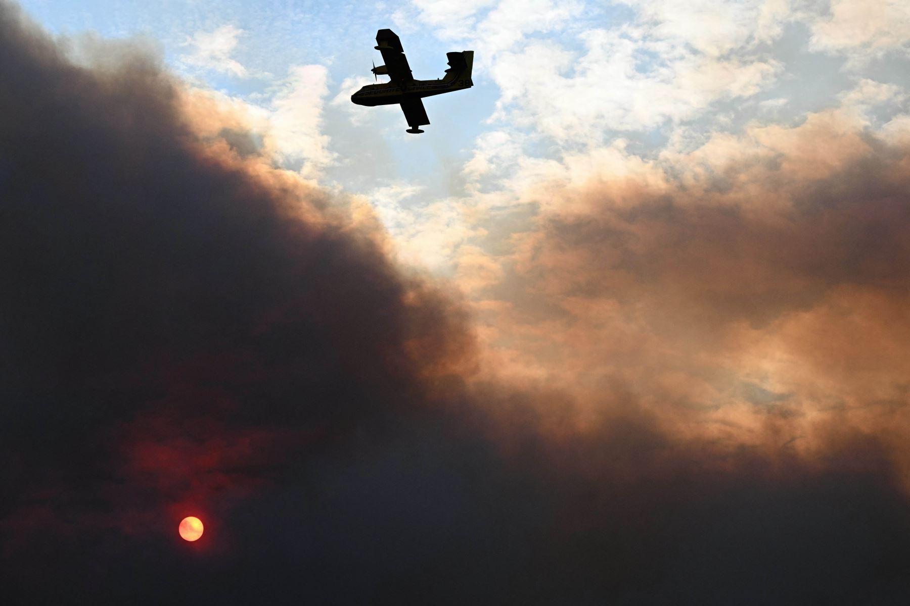 Tragedia en Francia: una víctima fatal y nueve heridos por devastador incendio forestal