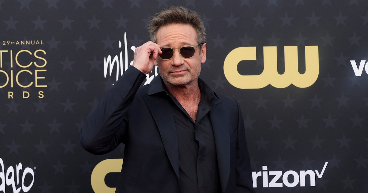 David Duchovny: El genio multifacético que conquistó Hollywood y la literatura a los 65 años