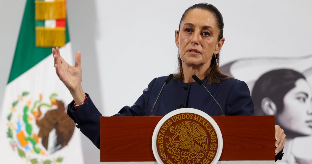 Sheinbaum aclara que orden ejecutiva de EE. UU. no afecta soberanía mexicana y descarta intervención militar