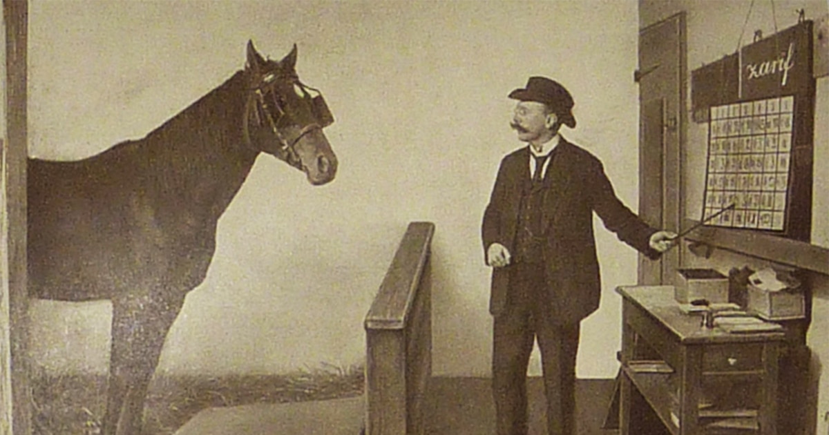 El misterio de Clever Hans: ¿Caballo genio o ilusión científica? La lección oculta sobre comportamiento animal y percepción humana