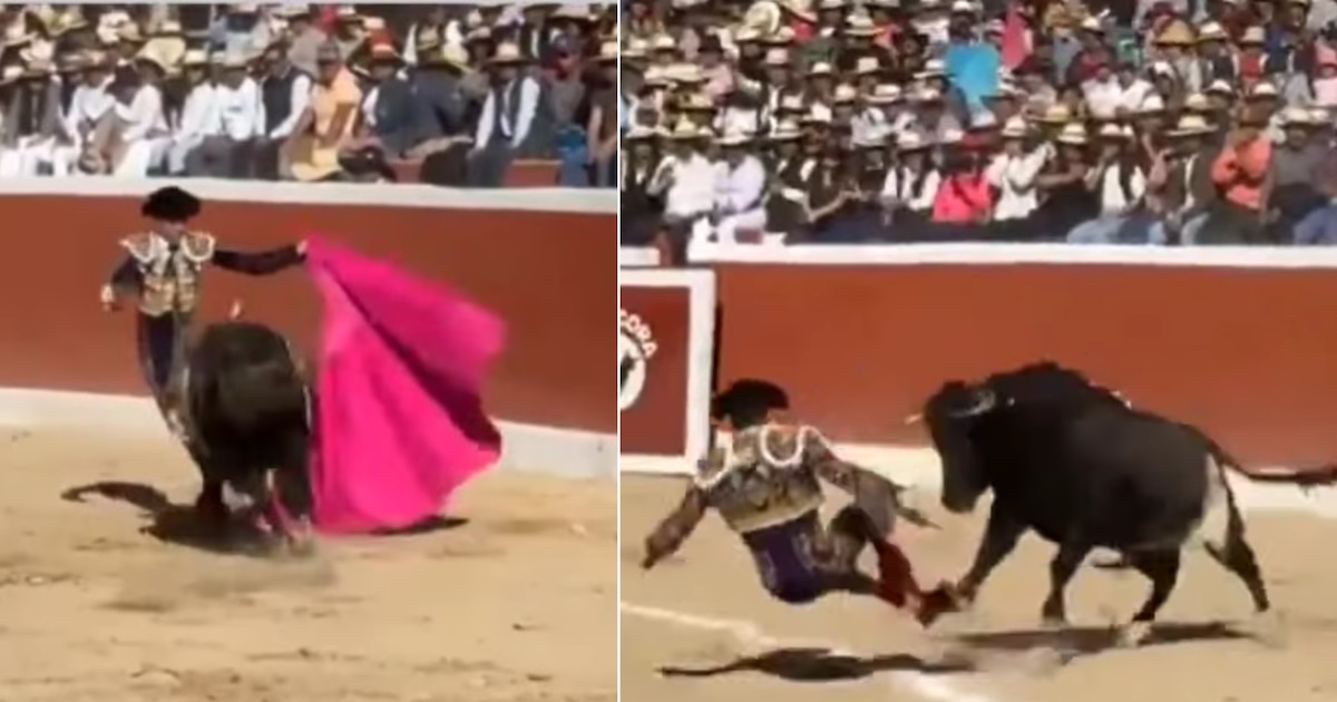 Torero español resulta gravemente herido tras brutal embestida en Ayacucho, Perú, y requiere cirugía de emergencia