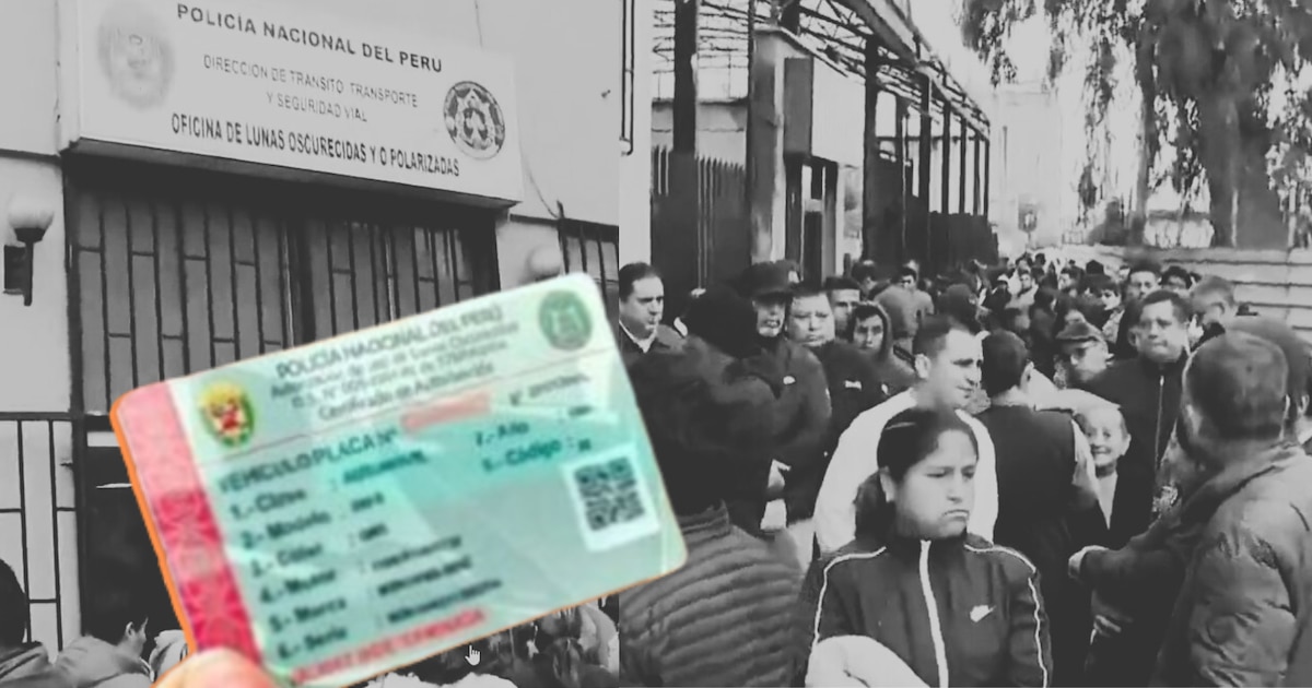 Usuarios en La Victoria enfrentan retrasos de cuatro días para obtener permisos de lunas polarizadas: «Me levanto temprano cada día para gestionar este trámite»