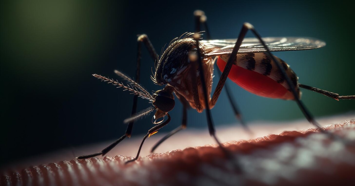 Alertan en Louisiana por primer caso humano de virus del Nilo Occidental con forma neuroinvasiva en medio de brotes estacionales
