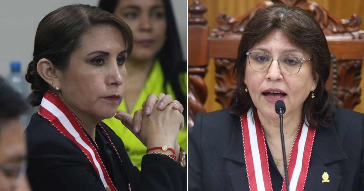 Abogado de Patricia Benavides interpone recurso constitucional contra Delia Espinoza