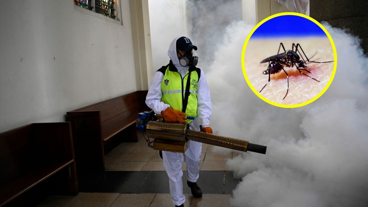 China declara emergencia por el brote más grave de fiebre chikungunya en dos décadas con más de 8,000 casos y medidas extremas