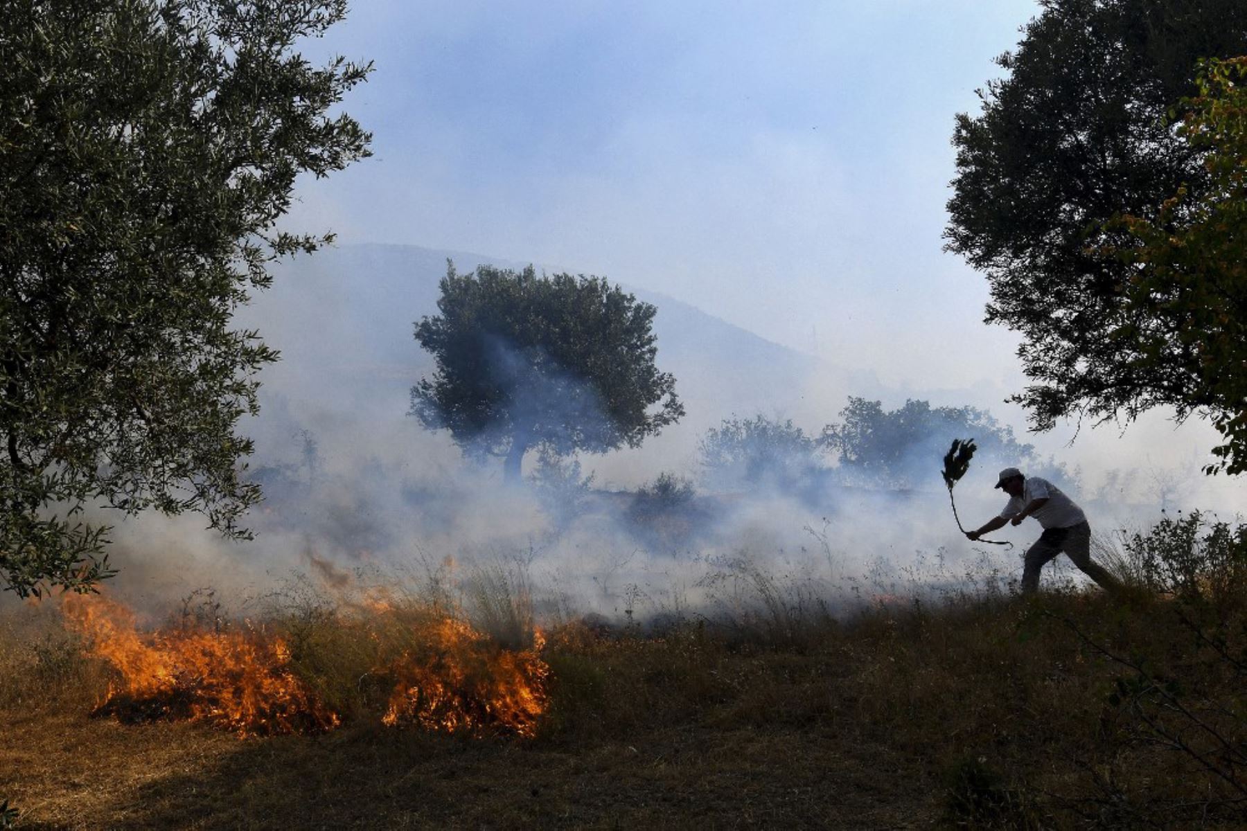 Incendios en Albania dejan una víctima fatal y residen a 500 turistas evacuados