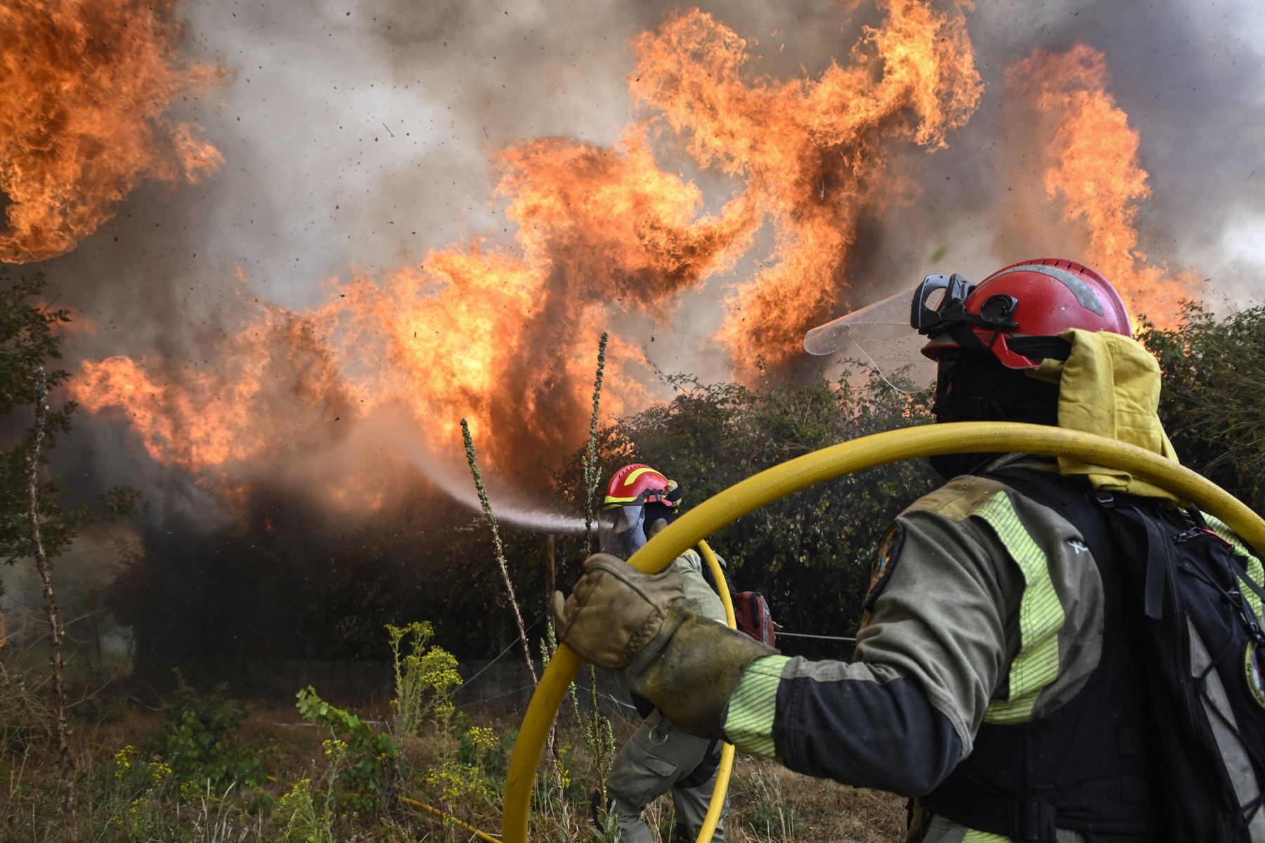 España enfrenta una grave ola de incendios forestales: dos fallecidos y miles de residentes evacuados
